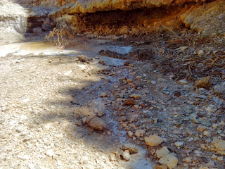 agua Barranco de la Sal María de Huerva