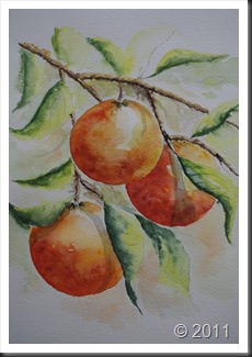Les oranges
