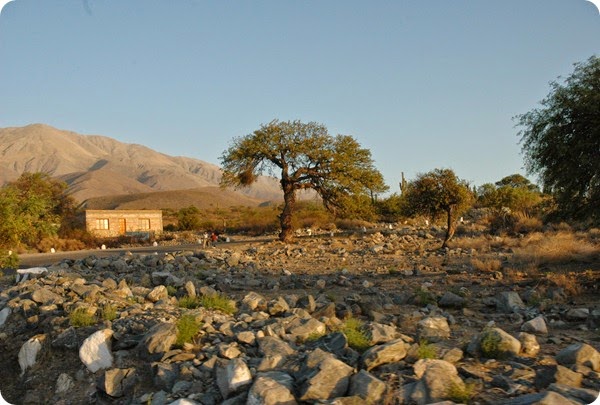 tafi del valle 3008x2000