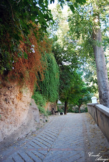 Precioso y frondoso camino de subida al castillo desde el parque de los Borrunes