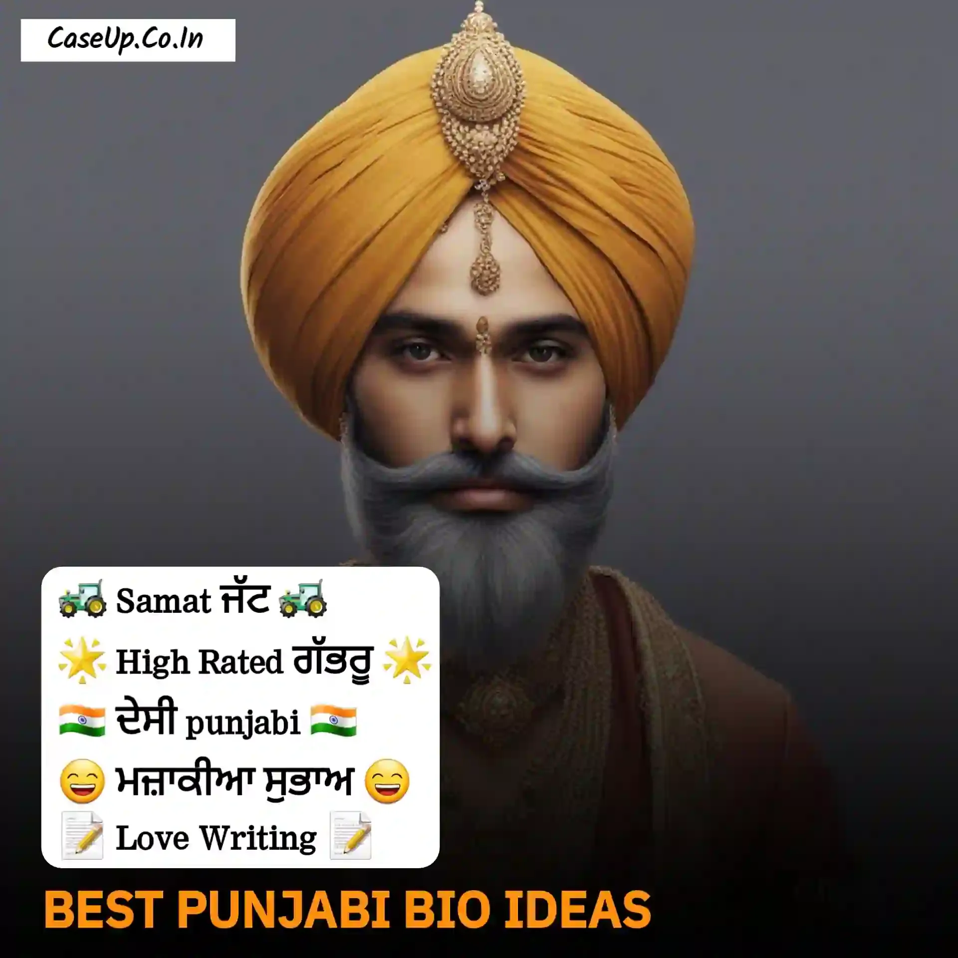 best punjabi bio idea 2