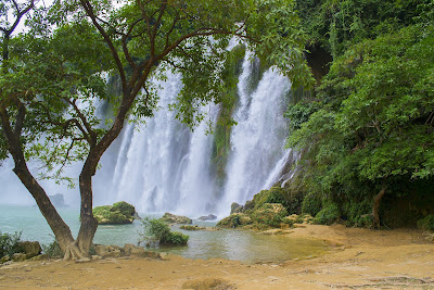 Forest waterfall computer backgrounds