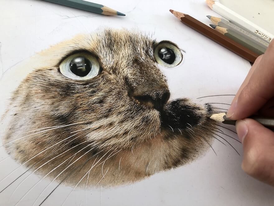 06-Grey-eyes-Cat-Drawings-Haruki-Kudo-www-designstack-co