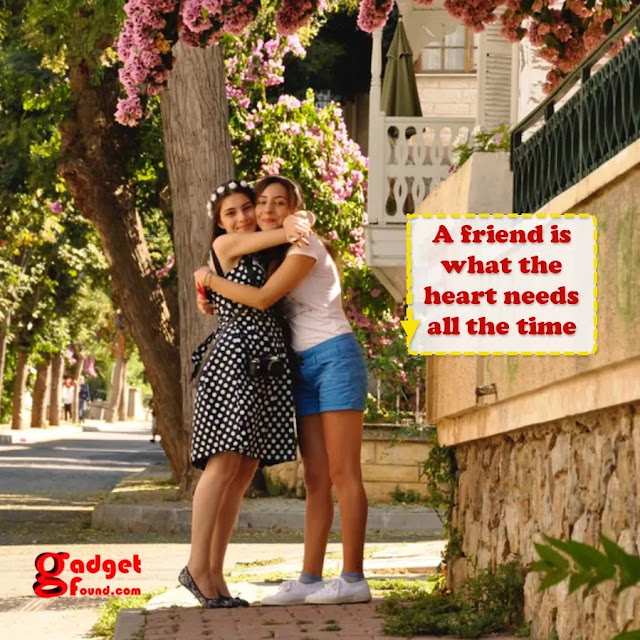 Friendship day quotes