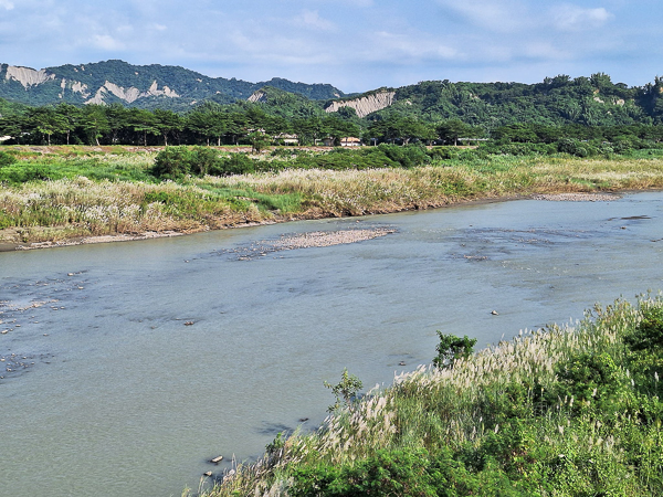 台南大內曾文溪畔二溪景觀大橋甜根子草花海，還可遠眺月世界山景