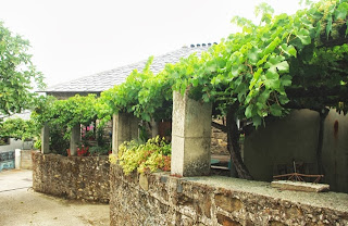 Ibias, vino de la Tierra de Cangas