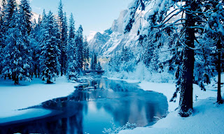 Ice-water-trees-mountains