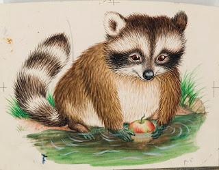 raccoon drawing from Baby Animals book