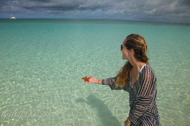 Starfish, Cat Island