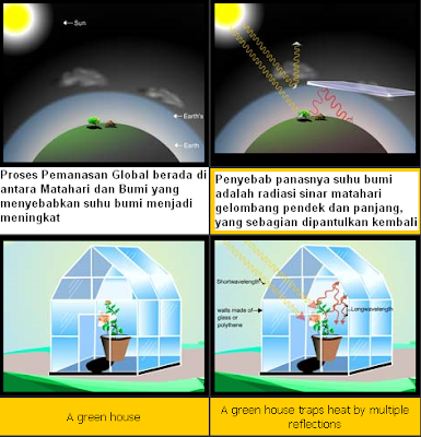 PENCEMARAN LINGKUNGAN: Dampak Pencemaran Udara