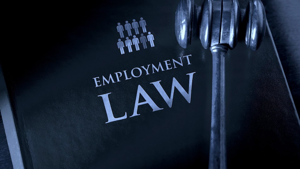 Lawyers For Employment Law