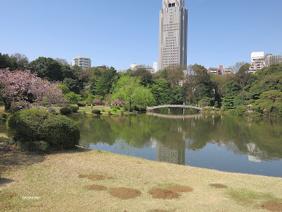 Tokyo park