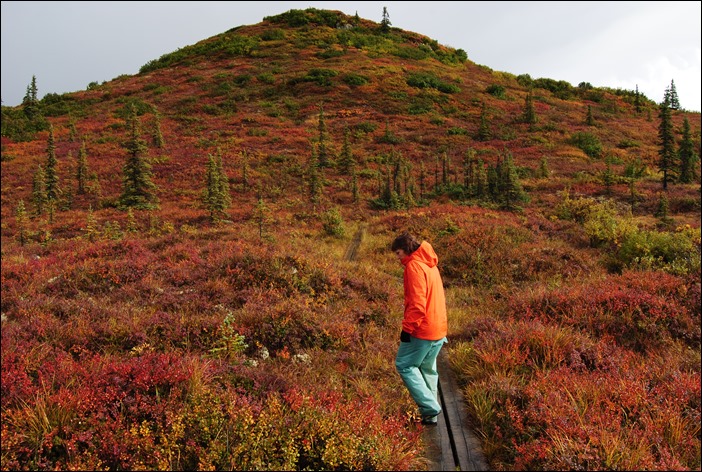 2013_08_Alaska 1084
