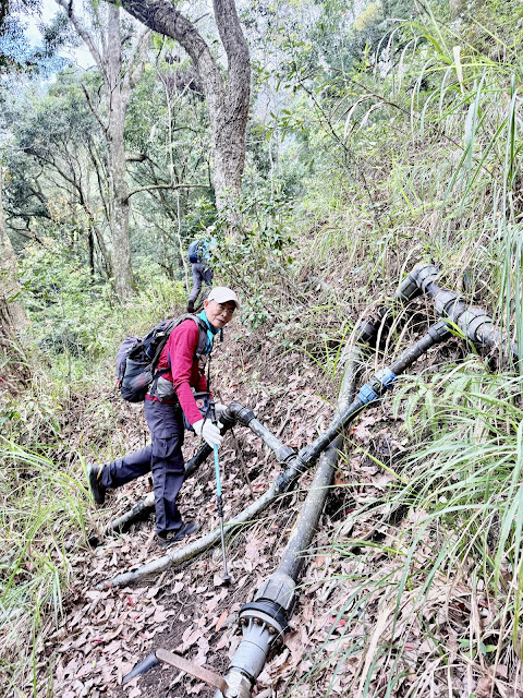往合流點山