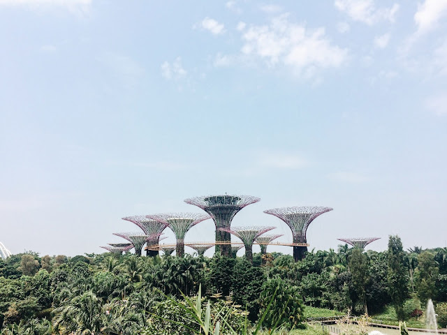 Gardens By the Bay, Singapore