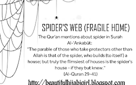 Spider's web (Fragile Home)