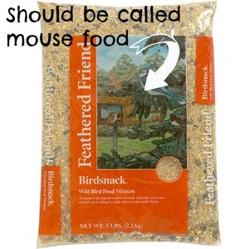 what attracks mice