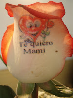 Enviar rosa a domicilio
