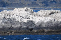 Ushuaia, AR Beagle Channel