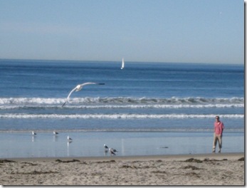 Another beach in La Jolla