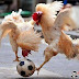 Pollos Worlcup