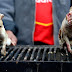 WTF : Tikus Bakar Kini Semakin Digemari Di Peru Sebagai Ganti Kepak Ayam (11 Gambar)