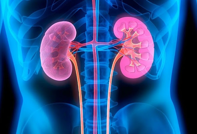 Chronic Kidney Disease Drugs Market