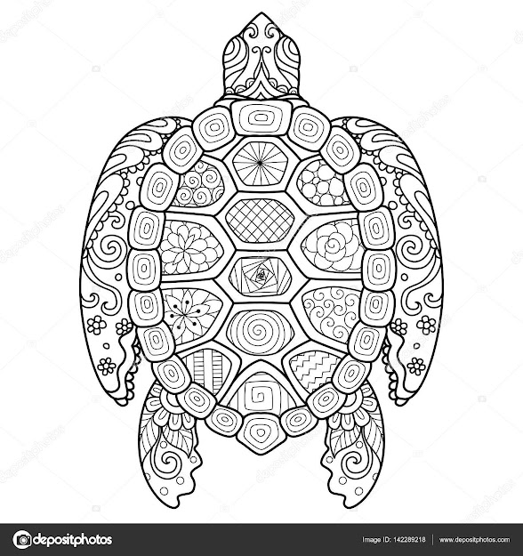 Zendoodle Stylize Of Beautiful Turtle For Tshirt Design Adult Coloring  Book Page