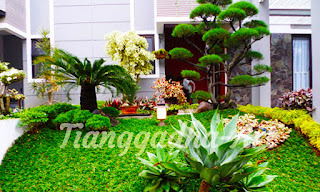 tukang taman surabaya. spesialis tukang taman, pemborong taman surabaya, kontraktor taman surabaya, arsitek taman surabaya, jasa taman rumah, tuang taman, desain taman surabaya.