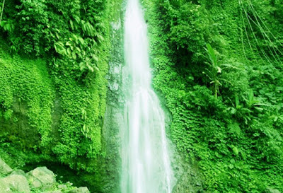 Montel Waterfall