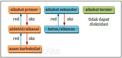 Bagan oksidasi alkohol primer, sekunder, dan tersier