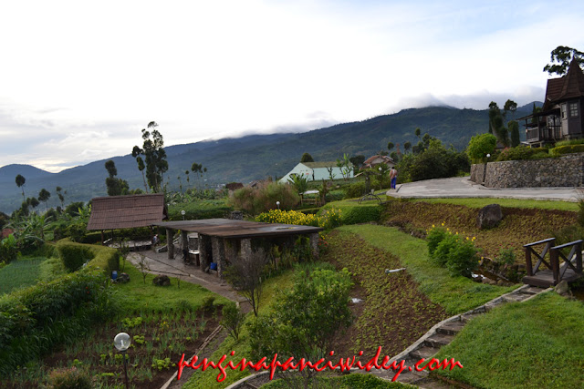 Villa di sekitar Kawah Putih 