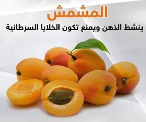 بالصور: معلومات صحية مفيدة