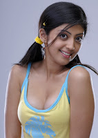 Kannada, actress, Pranitheea, spicy, stills