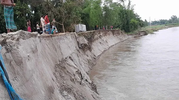 বকশীগঞ্জে দশানী নদীতে তীব্র ভাঙন, বিলীন হচ্ছে বসত ভিটা ও ফসলি জমি!
