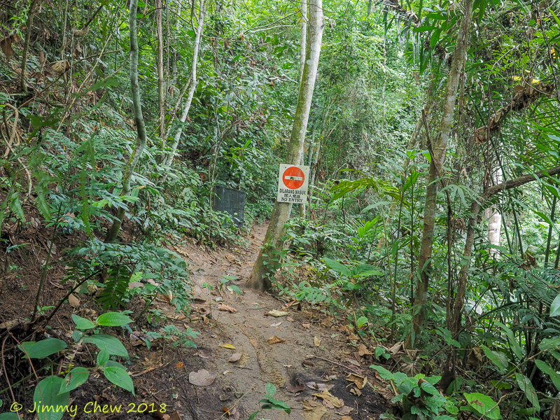 Where Less Is More: Bukit Baginda - what's the speciality ...