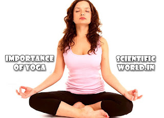 importance of yoga