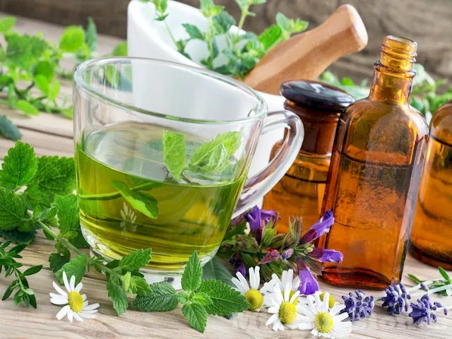 Infusión de cuachalalate: usos, preparación y beneficios para la salud