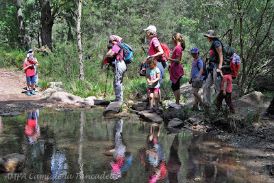 bejis rio palancia cruzando rio ampa colegio bonavista alaquas