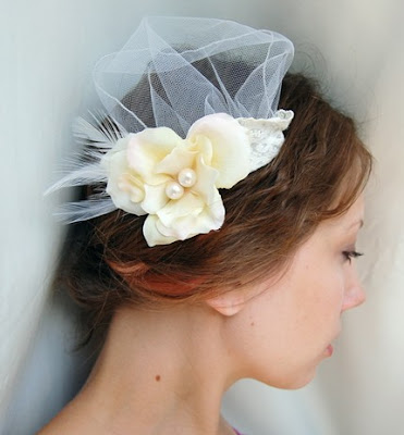 birdcage veil hairstyles. I do also have a irdcage veil