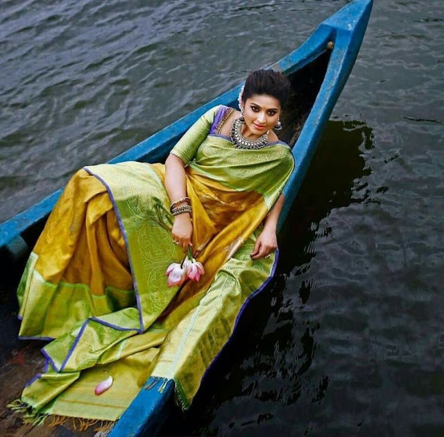 Sneha Mustard Light Green Sari