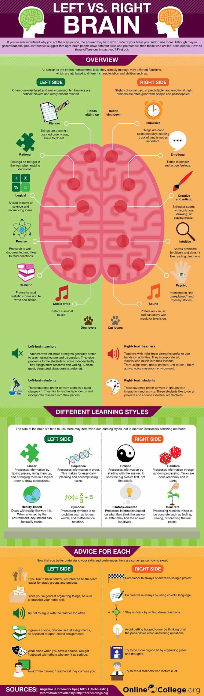 Left or Right Brain