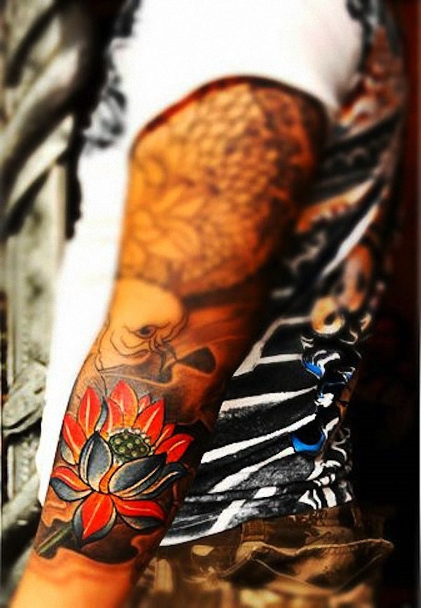 2_colorida_flor_de_ltus