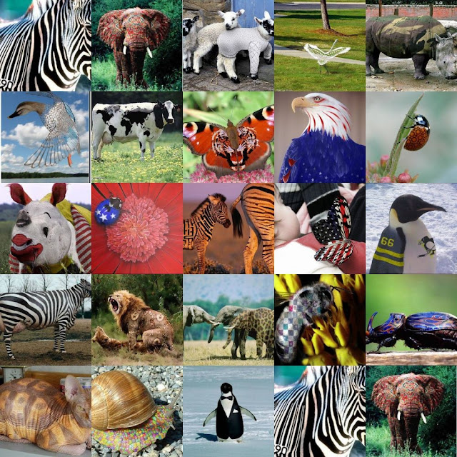 Animal Collage