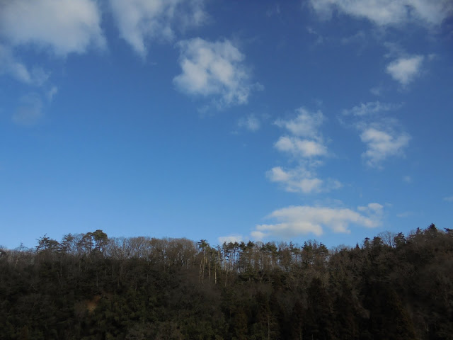 別荘地の丘の森と空が美しい