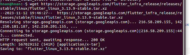 wget https://storage.googleapis.com/flutter_infra_release/releases/stable/linux/flutter_linux_3.13.9-stable.tar.xz