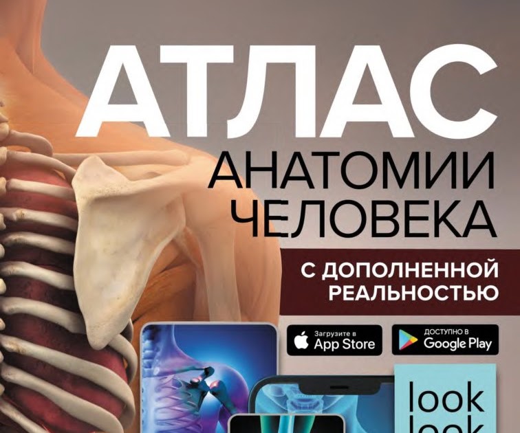 3d атлас анатомии человека
