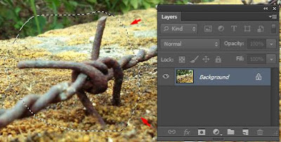 lasso tool photoshop