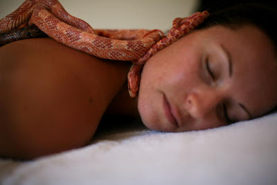 Терапия рептилий: змеиный массаж на севере Израиля