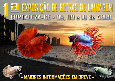 Banner da Exposição de Bettas de Linhagem de Fortaleza-CE